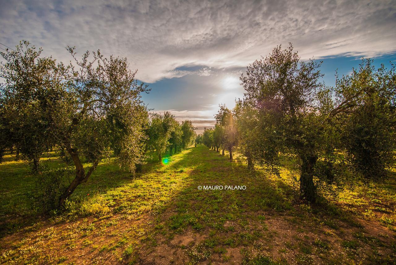 Tenuta Kyrios Borgagne Extérieur photo